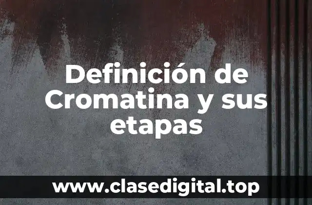 Definición técnica de Cromatina