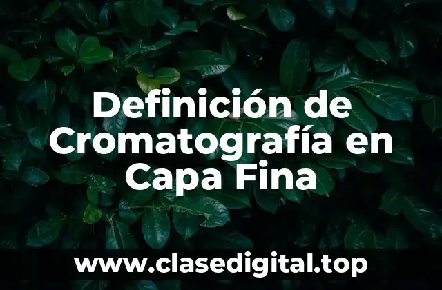 Definición de Cromatografía en Capa Fina