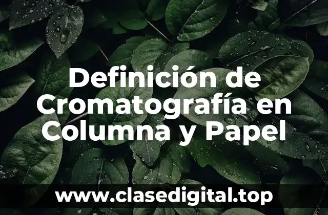 Definición de Cromatografía en Columna y Papel