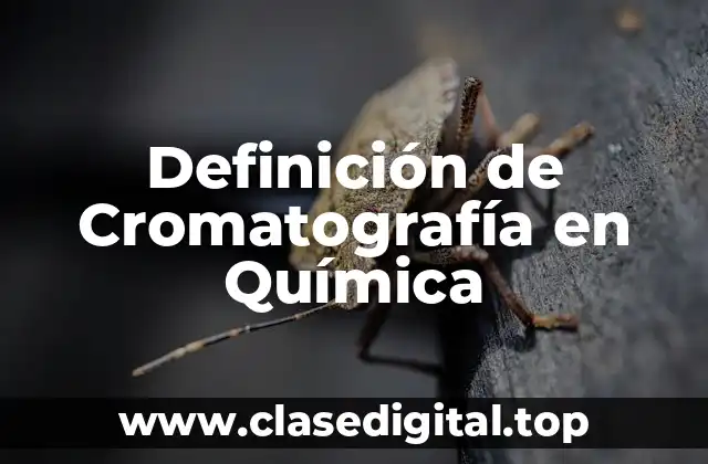 Ejemplos de Cromatografía en Química