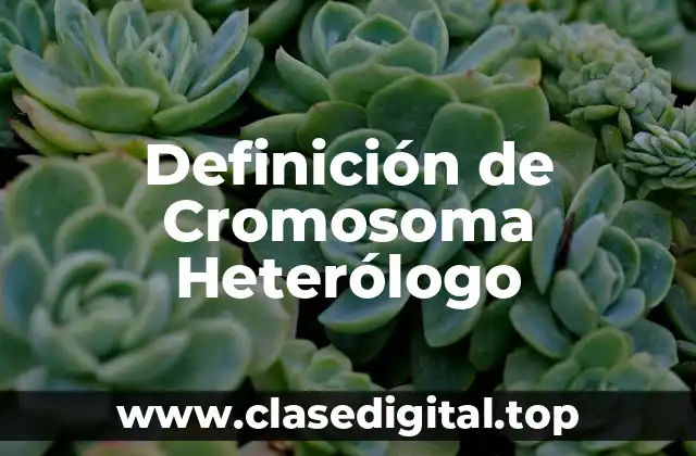 Definición de Cromosoma Heterólogo