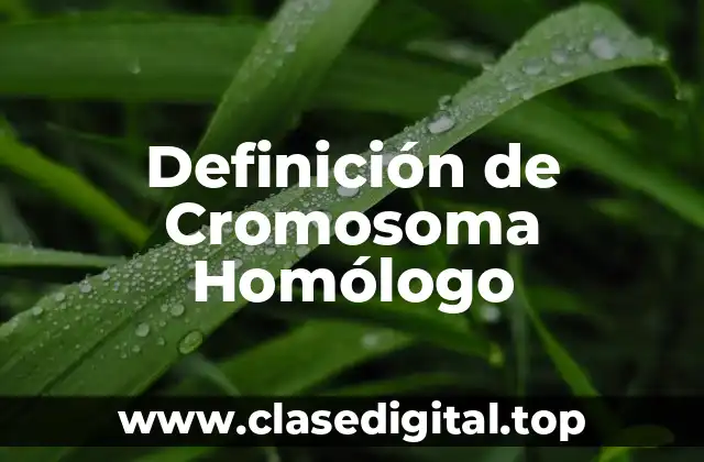 Definición de Cromosoma Homólogo