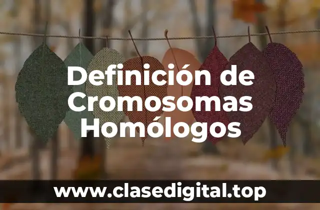 Definición de Cromosomas Homólogos