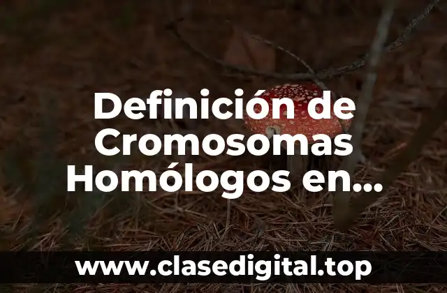 Definición de Cromosomas Homólogos en Biología