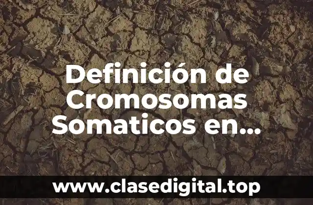 Definición de Cromosomas Somaticos en Biología