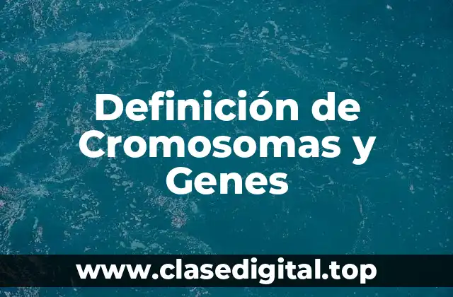 Definición de Cromosomas y Genes