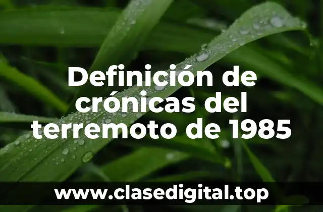 Definición de crónicas del terremoto de 1985