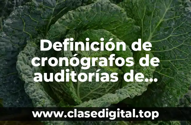 Definición de cronógrafos de auditorías de marketing