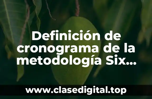 Definición de cronograma de la metodología Six Sigma