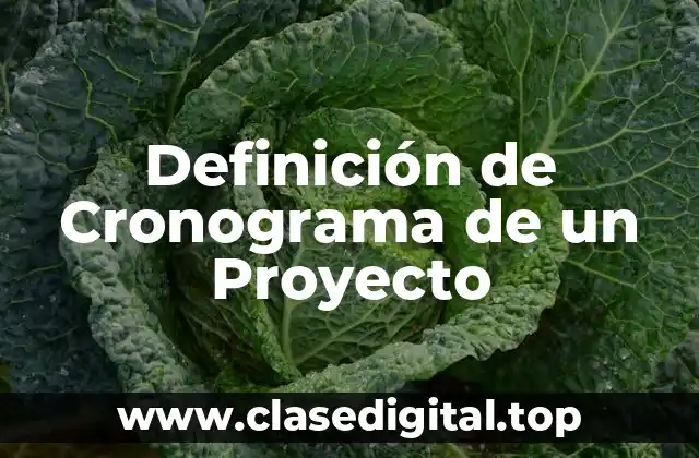 Definición técnica de Cronograma de un Proyecto
