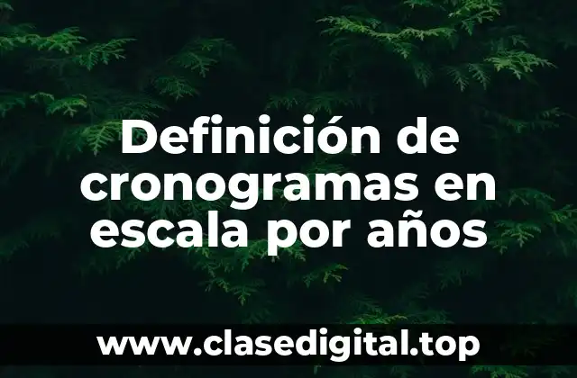 Definición de cronogramas en escala por años