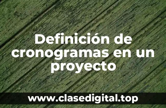 Definición de cronogramas en un proyecto