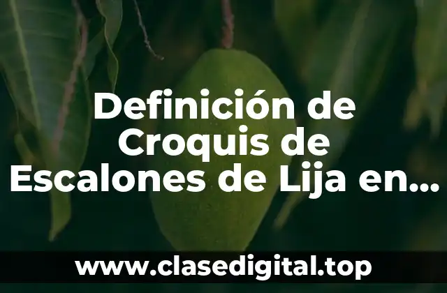 Definición de Croquis de Escalones de Lija en Carreteras