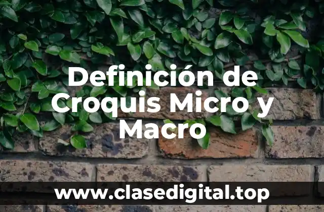 Definición de Croquis Micro y Macro