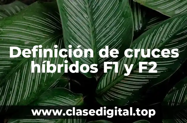 Definición de cruces híbridos F1 y F2