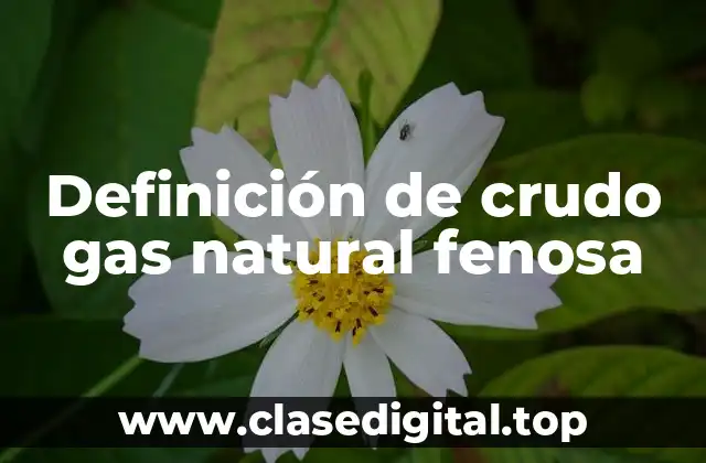 Definición de crudo gas natural fenosa