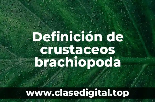 Definición de crustaceos brachiopoda