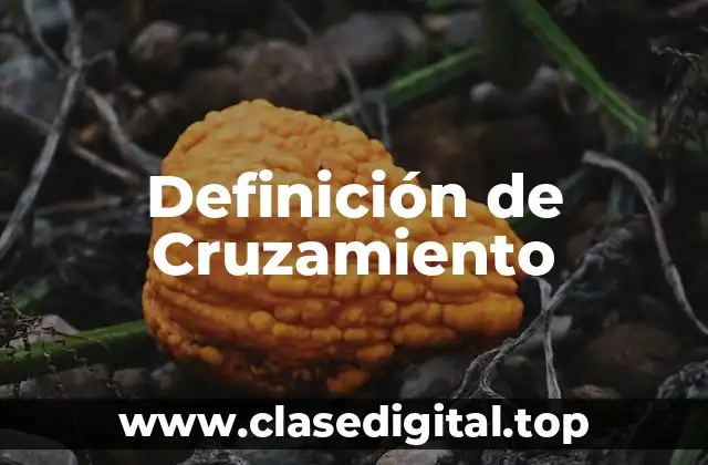 Definición de Cruzamiento