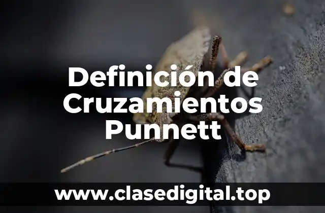 Definición de Cruzamientos Punnett
