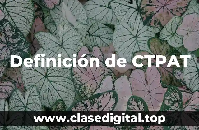 Definición de CTPAT