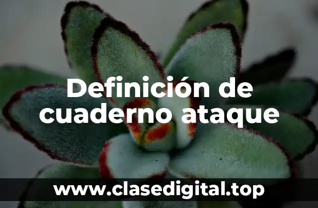 Definición de cuaderno ataque