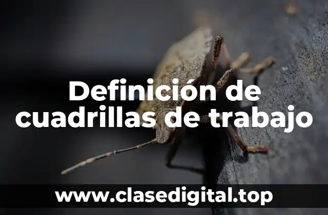 Definición de cuadrillas de trabajo