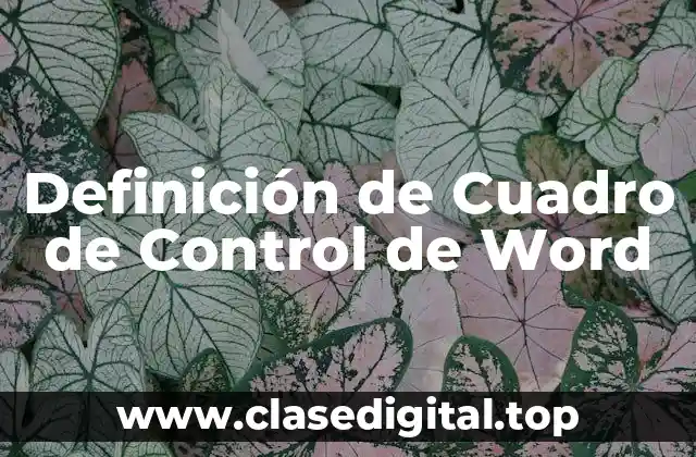 Definición de Cuadro de Control de Word