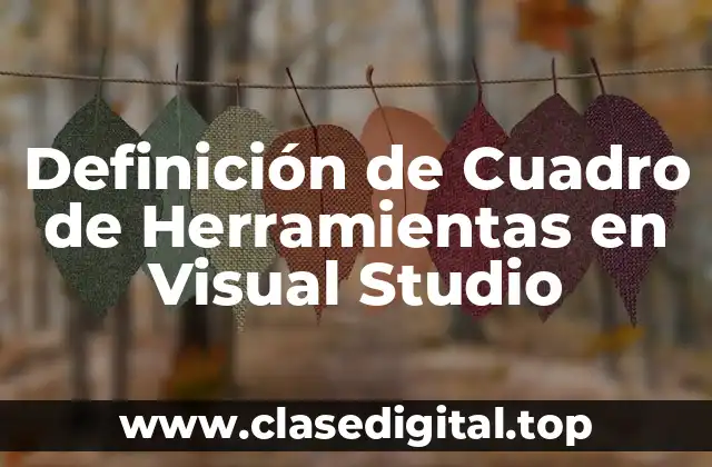 Definición de Cuadro de Herramientas en Visual Studio