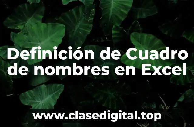 Definición de Cuadro de nombres en Excel