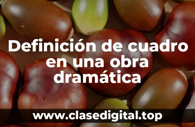 Definición técnica de cuadro en una obra dramática