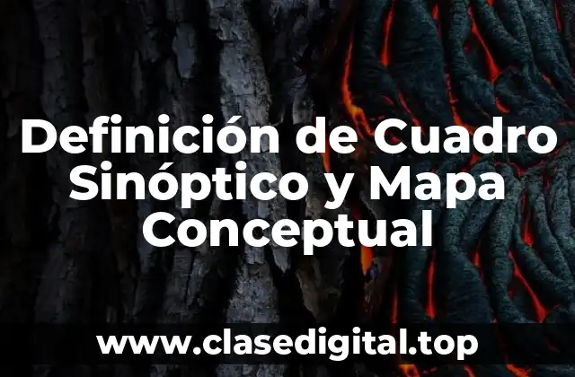 Definición de Cuadro Sinóptico y Mapa Conceptual
