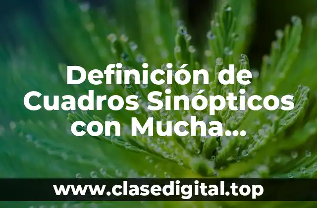Definición de Cuadros Sinópticos con Mucha Información