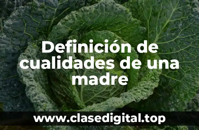 Definición de cualidades de una madre