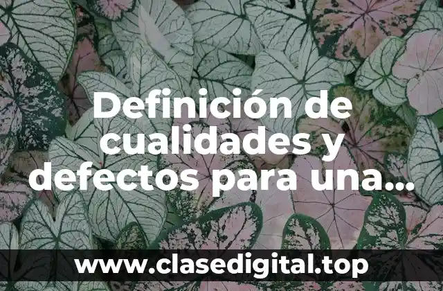 Definición de cualidades y defectos para una entrevista