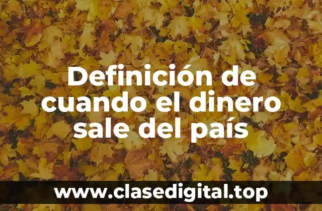 Definición de cuando el dinero sale del país