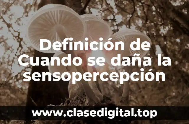 Definición de Cuando se daña la sensopercepción