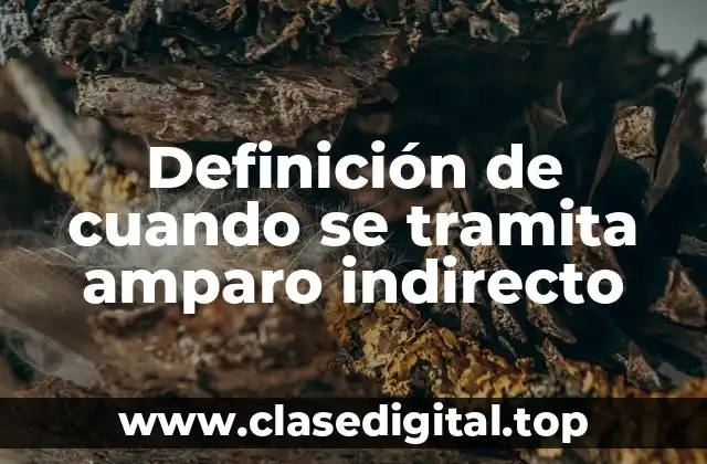 Definición de cuando se tramita amparo indirecto