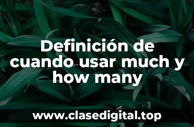 Definición de cuando usar much y how many