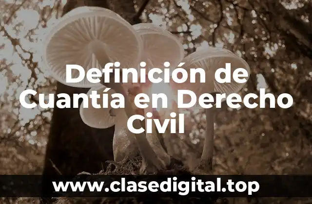 Definición de Cuantía en Derecho Civil