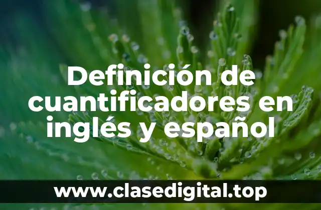 Definición de cuantificadores en inglés y español