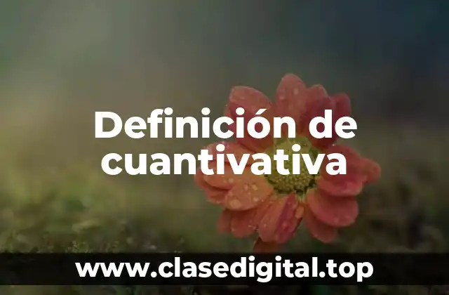 Definición de cuantivativa
