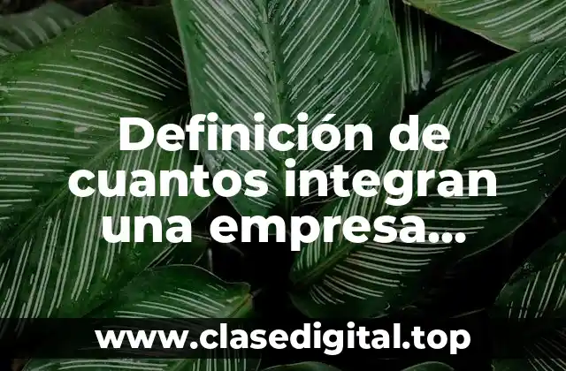 Definición de cuantos integran una empresa mediana