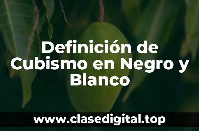 Ejemplos de Cubismo en Negro y Blanco