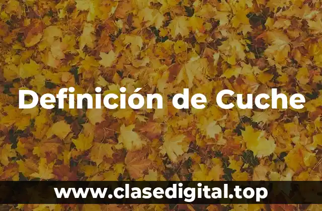 Definición de Cuche