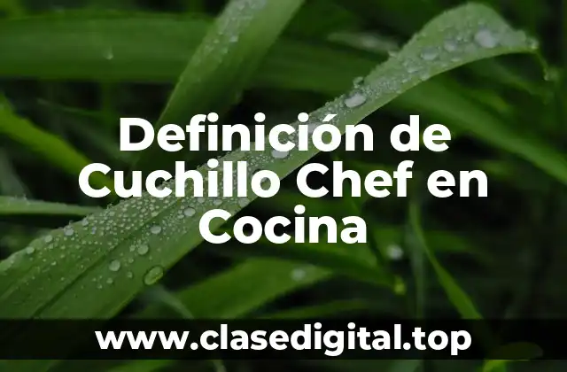 Definición de Cuchillo Chef en Cocina