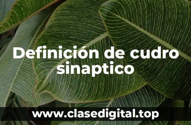 Definición de cudro sinaptico