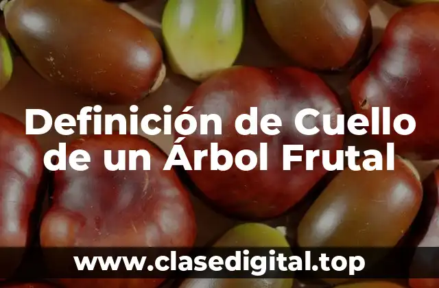 Definición de Cuello de un Árbol Frutal