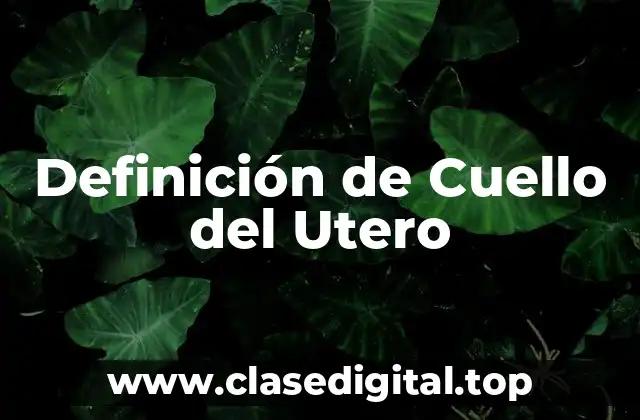 Definición de Cuello del Utero