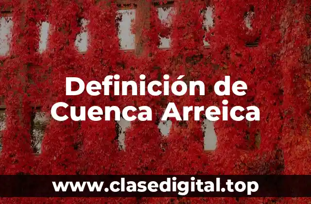 Definición de Cuenca Arreica