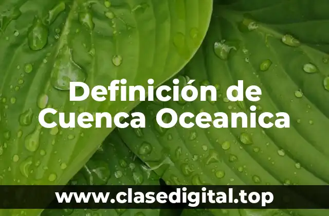Definición de Cuenca Oceanica